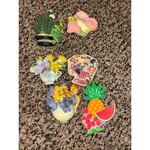 Vintage set of 6 floral refrigerator magnets